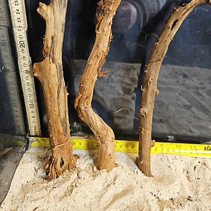 Tuskwood Aquascaping Single Root Gnarly M 20-30 Mix