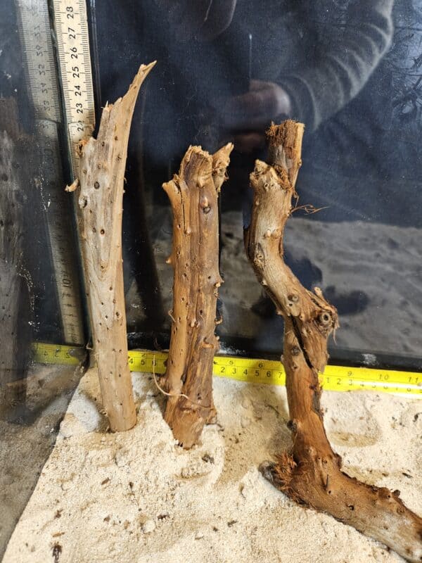 Tuskwood Aquascaping Single Root Gnarly M 20-30 Mix - Bild 4