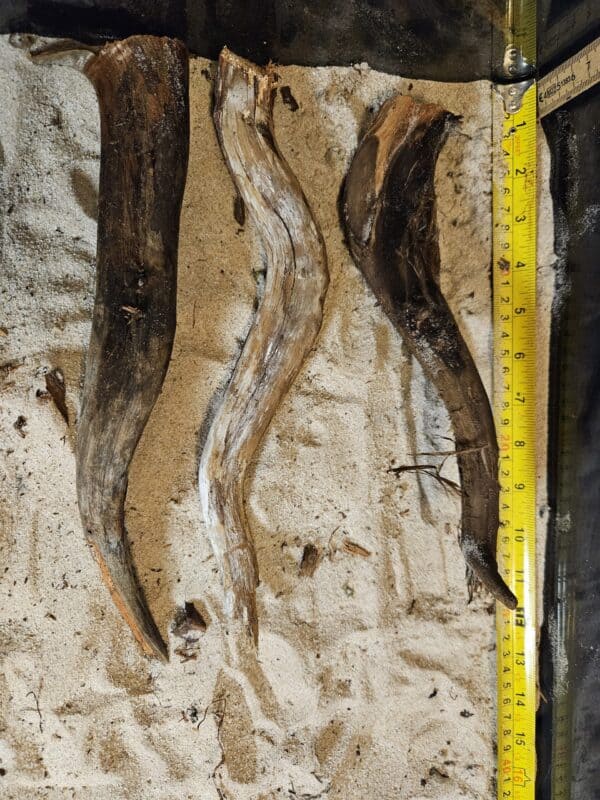 Tuskwood Aquascaping Single Root  M 20-30 Mix - Bild 2