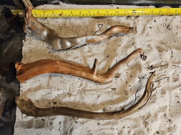 Tuskwood Aquascaping Single Root  M 20-30 Mix - Bild 5