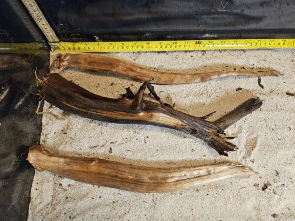Tuskwood Aquascaping Single Root  L 30-40 Mix - Bild 5