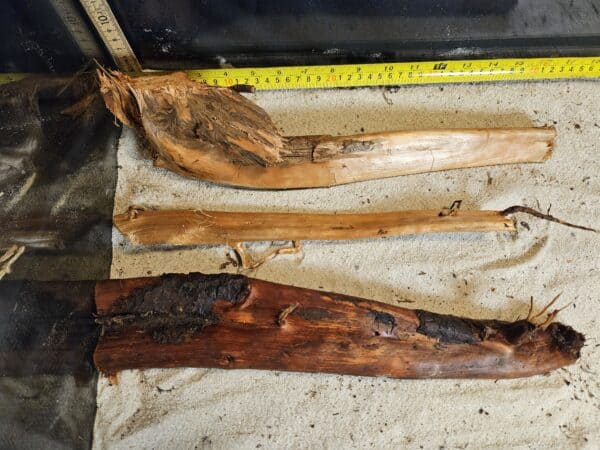 Tuskwood Aquascaping Single Root  L 30-40 Mix - Bild 6