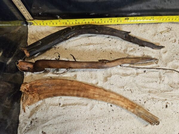 Tuskwood Aquascaping Single Root  XL 40-50 Mix - Bild 2