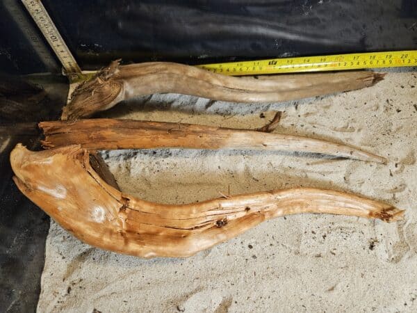 Tuskwood Aquascaping Single Root  XL 40-50 Mix - Bild 3