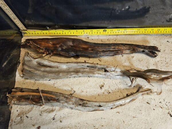 Tuskwood Aquascaping Single Root  XL 40-50 Mix - Bild 5