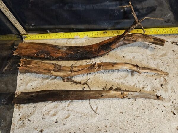 Tuskwood Aquascaping Single Root  XL 40-50 Mix