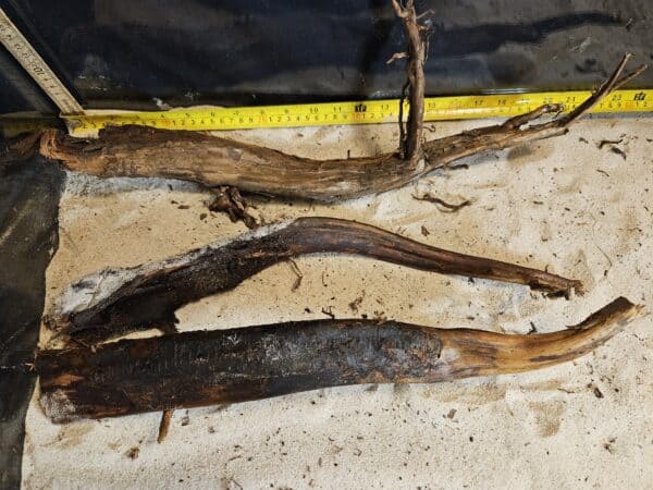 Tuskwood Aquascaping Single Root  XL 40-50 Mix - Bild 8