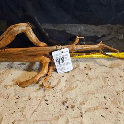 Tuskwood aquarium root in real bogwood, 30-40 cm