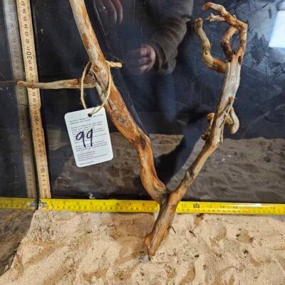 Tuskwood akvarierot i äkta bogwood, 30-40 cm