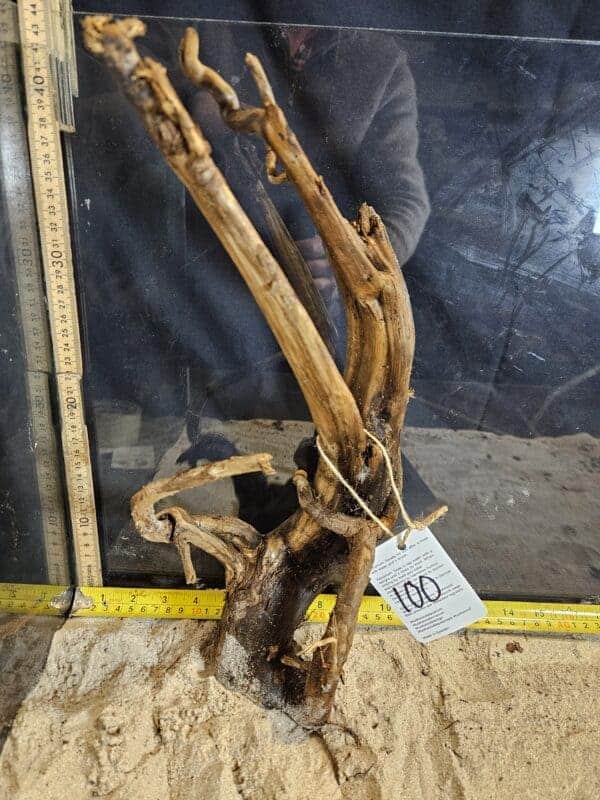 Tuskwood Aquascaping Root Bonsai Tree Style L (30-40 cm) 100