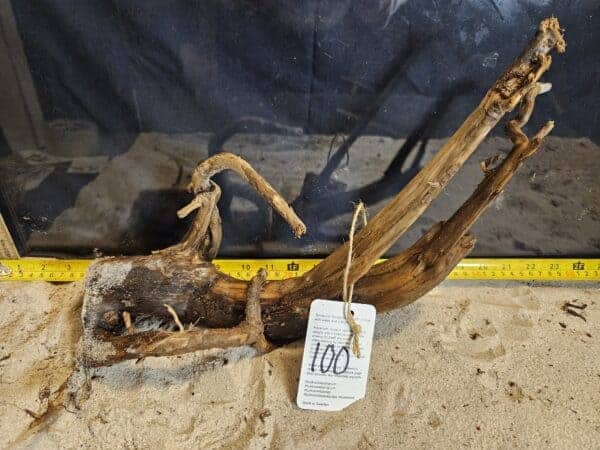 Tuskwood Aquascaping Root Bonsai Tree Style L (30-40 cm) 100 - Bild 2