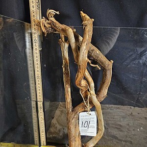 Tuskwood Aquascaping Root Bonsai Tree Style L (30-40 cm) 101