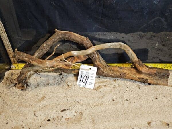 Tuskwood Aquascaping Root Bonsai Tree Style L (30-40 cm) 101 - Bild 2