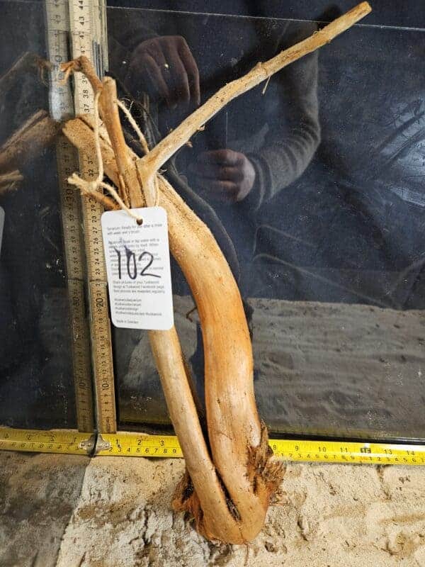 Tuskwood Aquascaping Root Bonsai Tree Style L (30-40 cm) 102