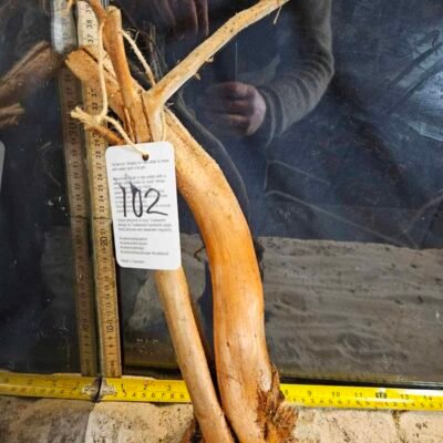 Tuskwood Racine d'aquarium en véritable tourbière, 30-40 cm