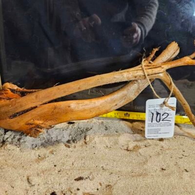 Tuskwood Aquarienwurzel aus echtem Moorholz, 30-40 cm