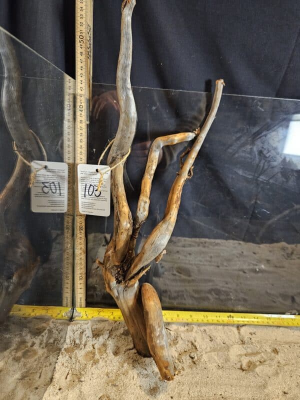 Tuskwood Aquascaping Root Bonsai Tree Style L (30-40 cm) 103
