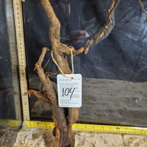 Tuskwood Aquascaping Root Bonsai Tree Style L (30-40 cm) 104