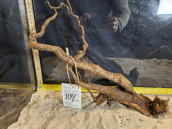 Tuskwood Aquascaping Root Bonsai Tree Style L (30-40 cm) 104 - Bild 2