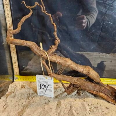 Tuskwood akvarierod i ægte mosetræ, 30-40 cm