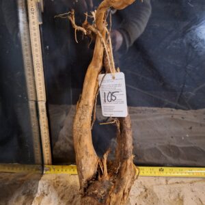 Tuskwood Aquascaping Root Bonsai Tree Style L (30-40 cm) 105