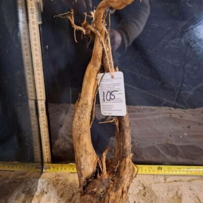 Tuskwood akvarierot i äkta bogwood, 30-40 cm