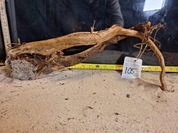 Tuskwood Aquascaping Root Bonsai Tree Style L (30-40 cm) 105 - Bild 2