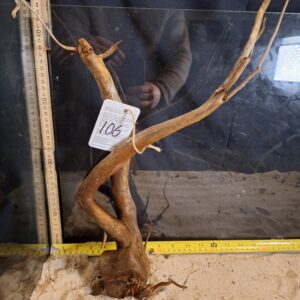 Tuskwood Aquascaping Root Bonsai Tree Style L (30-40 cm) 106