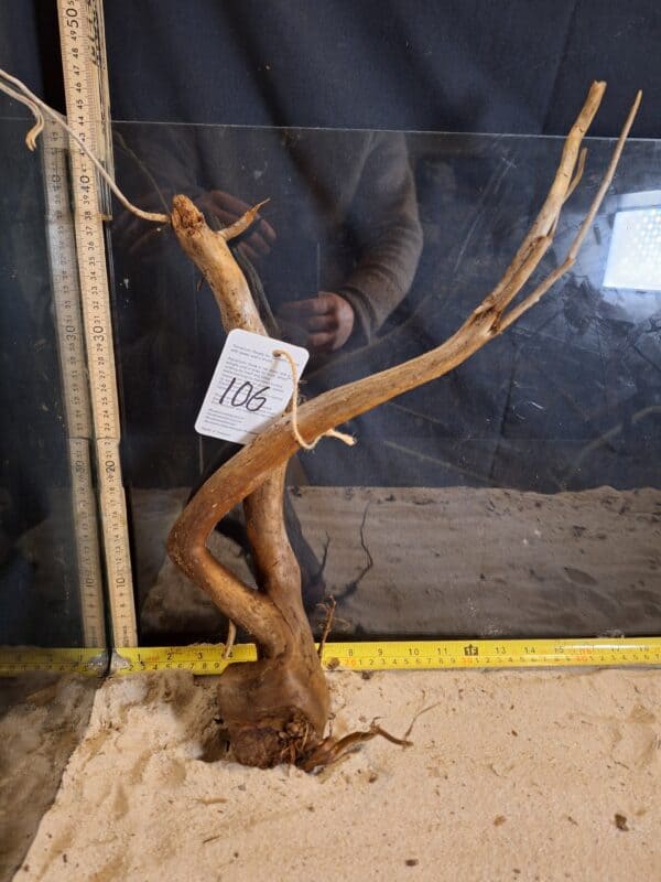 Tuskwood Aquascaping Root Bonsai Tree Style L (30-40 cm) 106