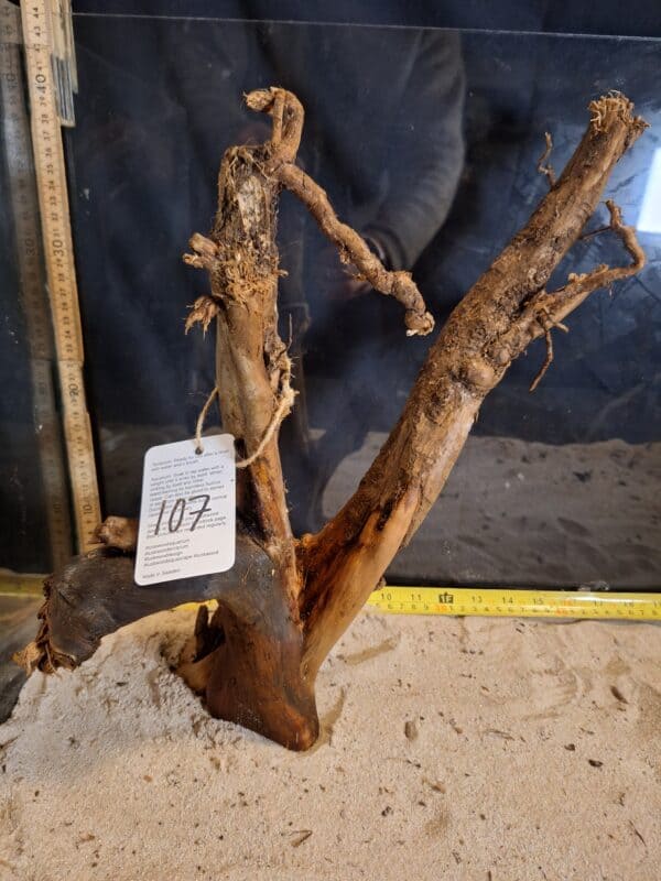 Tuskwood Aquascaping Root XL Selected 40-50 nr 107 - Bild 2