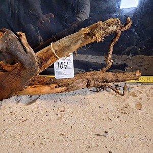 Tuskwood Aquascaping Root XL Selected 40-50 nr 107