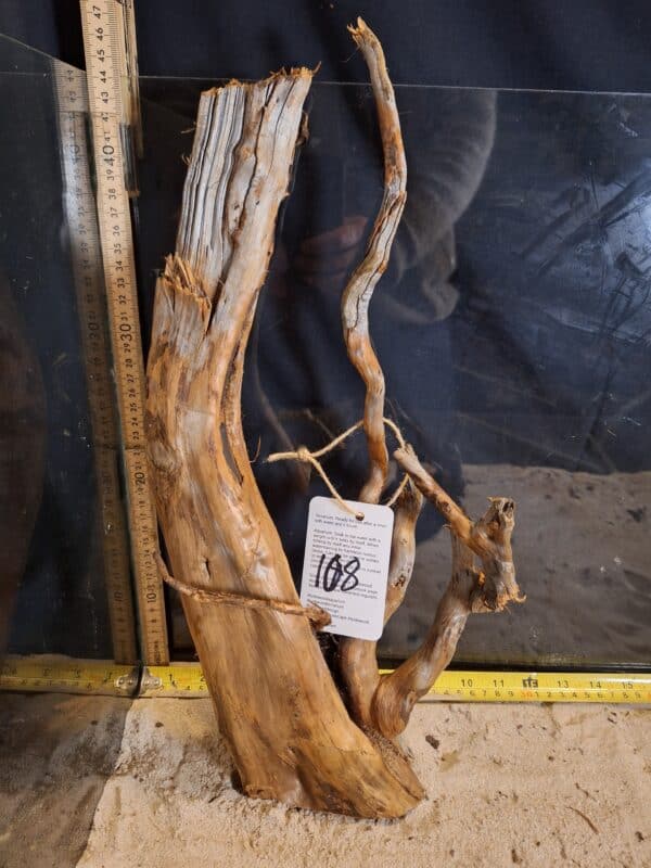 Tuskwood Aquascaping Root XL Rootflow 40-50cm nr100 C - Bild 2