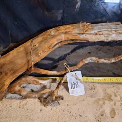 Tuskwood akvarierot i äkta bogwood, 40-50cm
