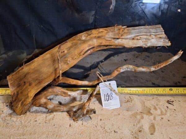 Tuskwood Aquascaping Root XL Rootflow 40-50cm nr100 C