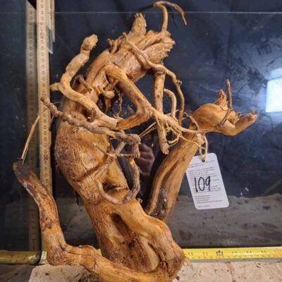 Tuskwood akvaariojuuri aidossa suopuussa