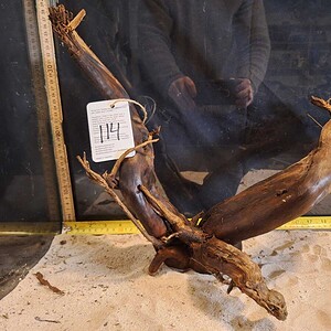 Tuskwood Aquascaping Root XL Selected 40-50 nr 114