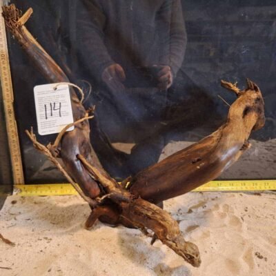 Tuskwood akvaariojuuri aidossa suopuussa