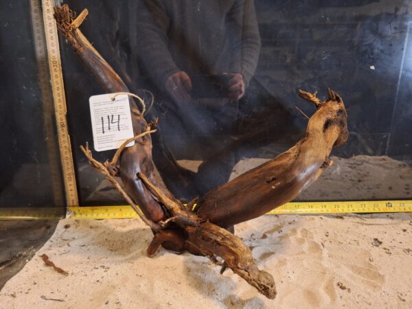 Tuskwood Aquascaping Root XL Selected 40-50 nr 114