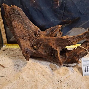 Tuskwood Aquascaping Root L Iron Style 30-40cm nr115 A