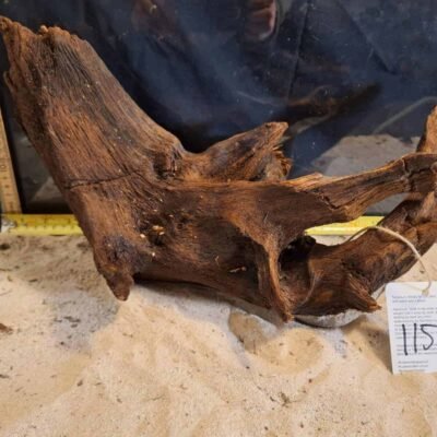 Tuskwood aquarium root in real bogwood, 30-40cm