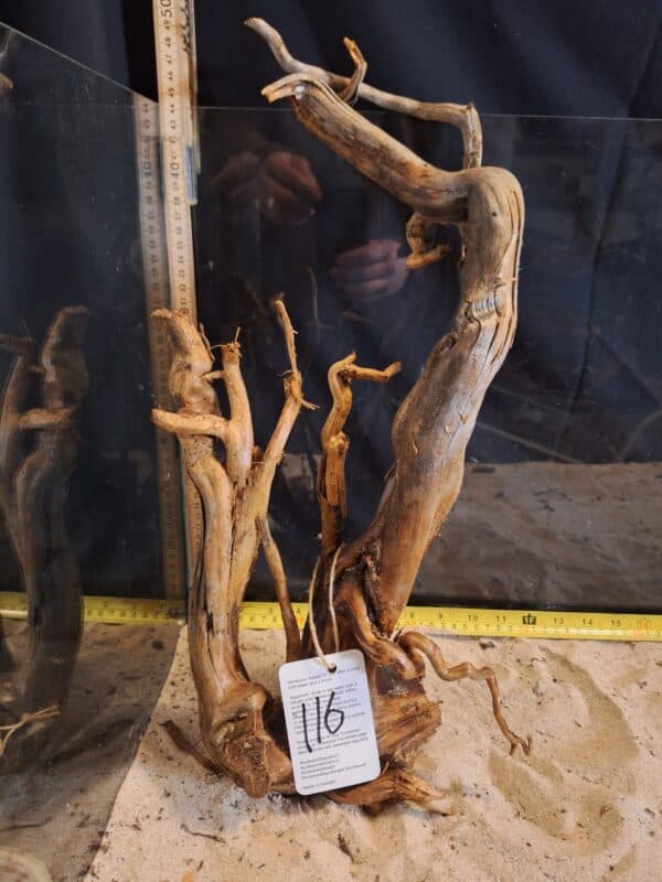 Tuskwood Aquascaping Root XL Rootflow 40-50cm nr116 A - Bild 3