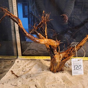 Tuskwood Aquascaping Root XL Selected 30-40 nr120 A