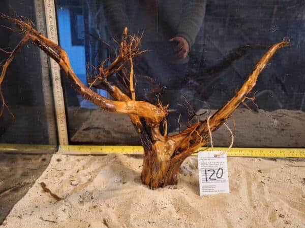 Tuskwood Aquascaping Root XL Selected 30-40 nr120 A