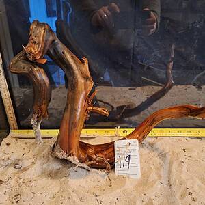 Tuskwood Aquascaping Root XL Selected 40-50 nr119 A