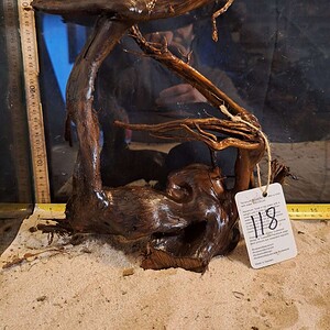 Tuskwood Aquascaping Root XL Selected 30-40 nr118 AA