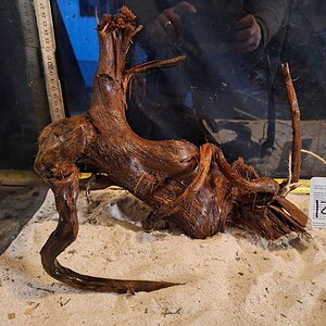 Tuskwood Aquascaping Root L Iron Style 30-40cm nr126 A