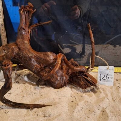 Tuskwood Racine d'aquarium en véritable tourbière, 30-40cm