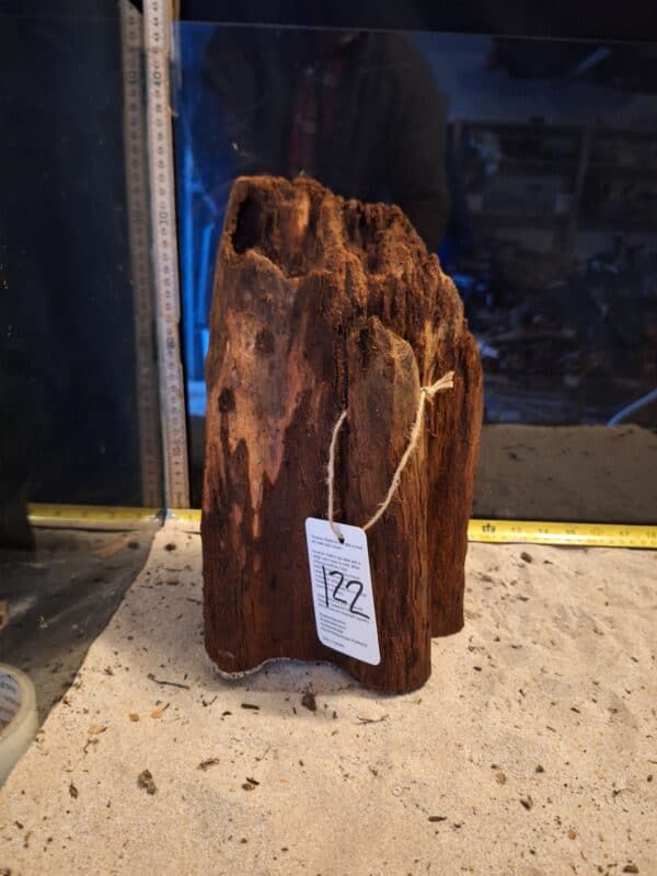 Tuskwood Ancient Tree Stump XXL 30-40 cm Nr122
