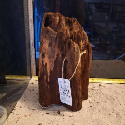 Tuskwood Racine d'aquarium en véritable tourbière, 30-40 cm