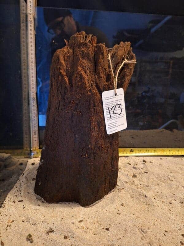 Tuskwood Ancient Tree Stump XXL 30-40cm Nr123